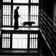 A prison guard and dog inside Barlinnie