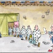 Our cartoonist Steven Camley's take on crisis in prisons