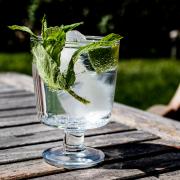 Gin Tonic Cocktail with lime, mint leaves and ice
