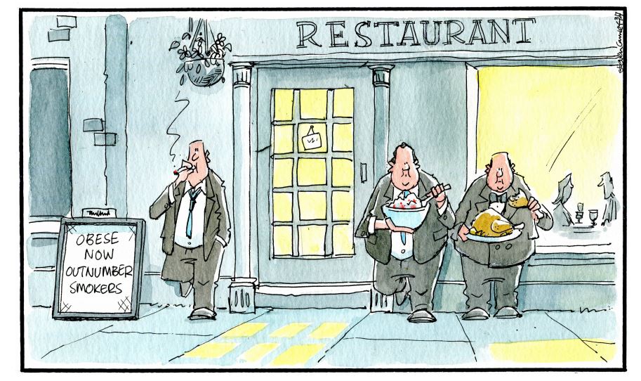 Camley S Cartoon On Wednesday July 3 Obese Now Outnumber Smokers Heraldscotland Watch cartoon online free unlimited watchcartoononline version 2.0. the herald