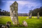 The standing stones at Nether Largie in Kilmartin Glen, Argyll