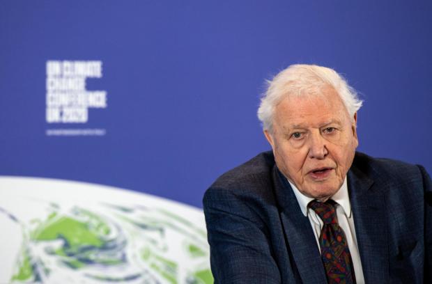 HeraldScotland: David%Attenborough will have a role to play in COP26