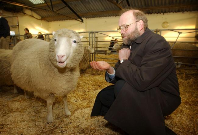 Ian Wilmut of the Roslin Institute, pictured with Dolly the sheep shortly after she was diagnosed with arthritis, aged four