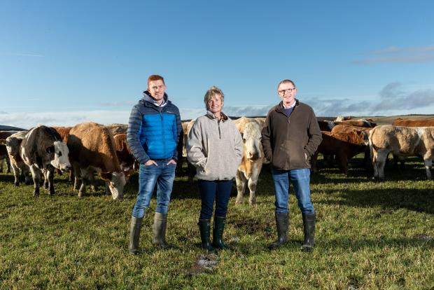 HeraldScotland: Scotland produces the best of beef