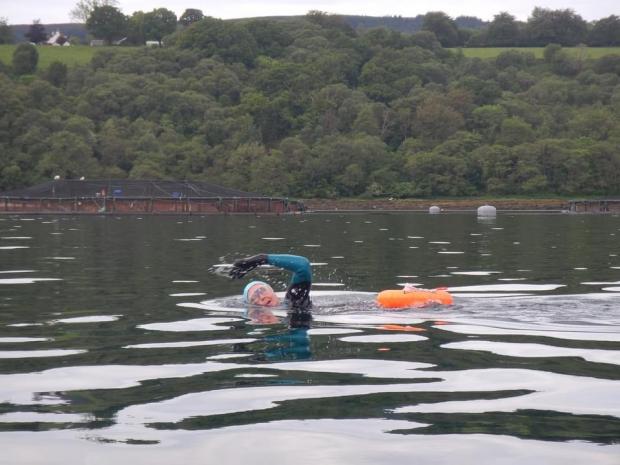HeraldScotland: Georgina Maclean swimming past Lamlash bay fish farm