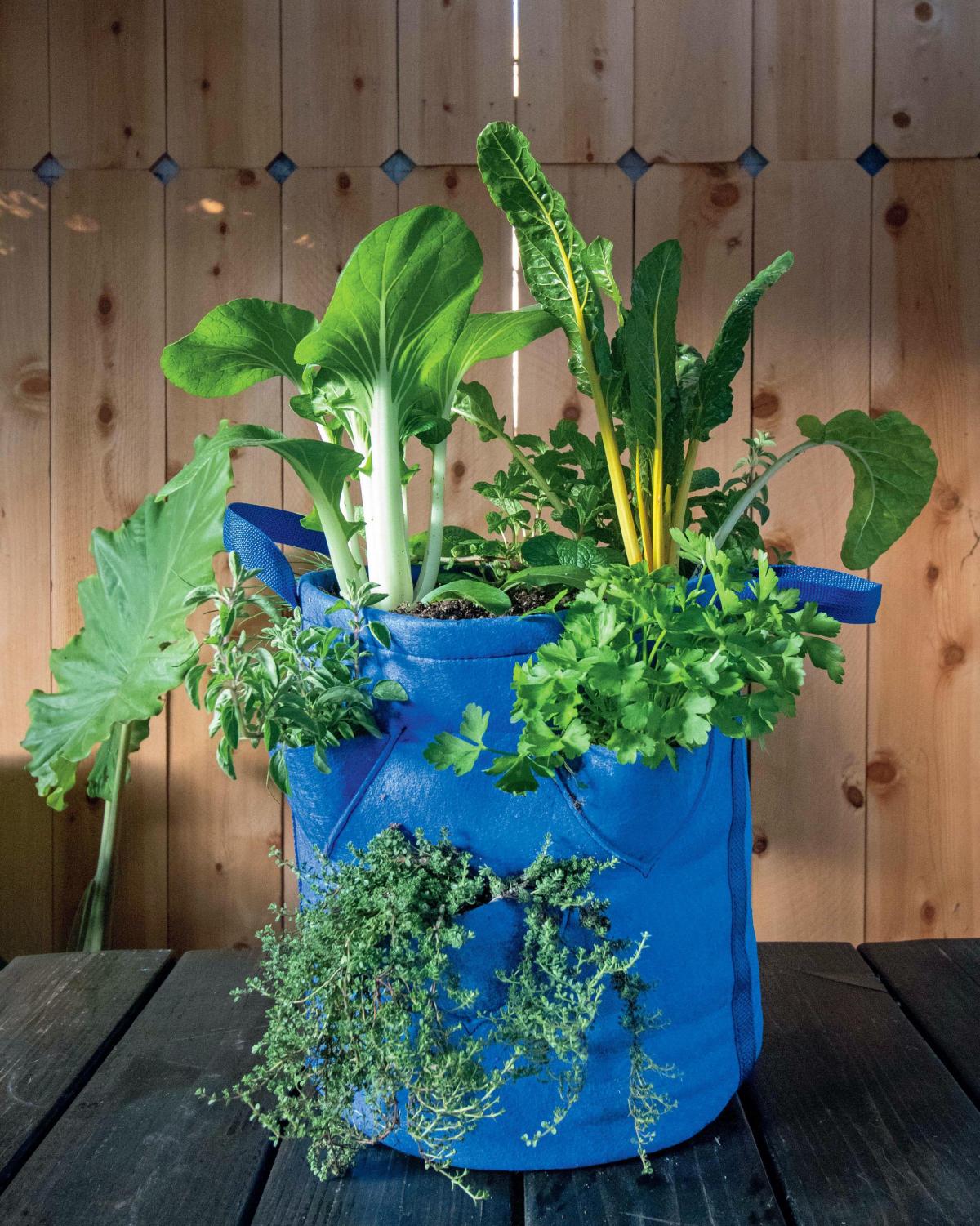 Gardening: Six imaginative ways to use grow bags in small spaces