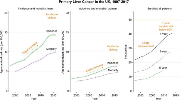 HeraldScotland: The increase in incidence of liver cancer appeared to slow around 2015, but it is unclear whether this was sustained