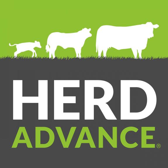 The Herald: The Herald: