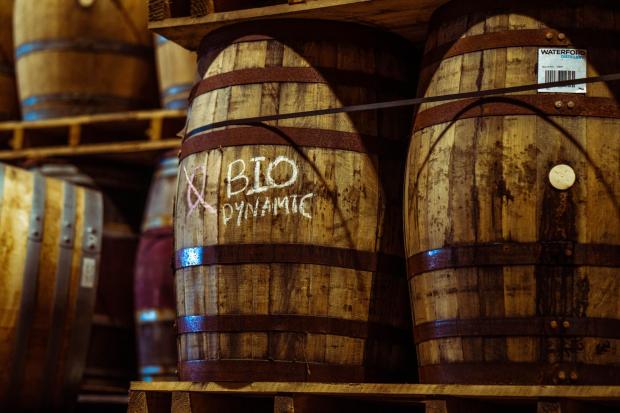HeraldScotland: Casks of biodynamic whisky