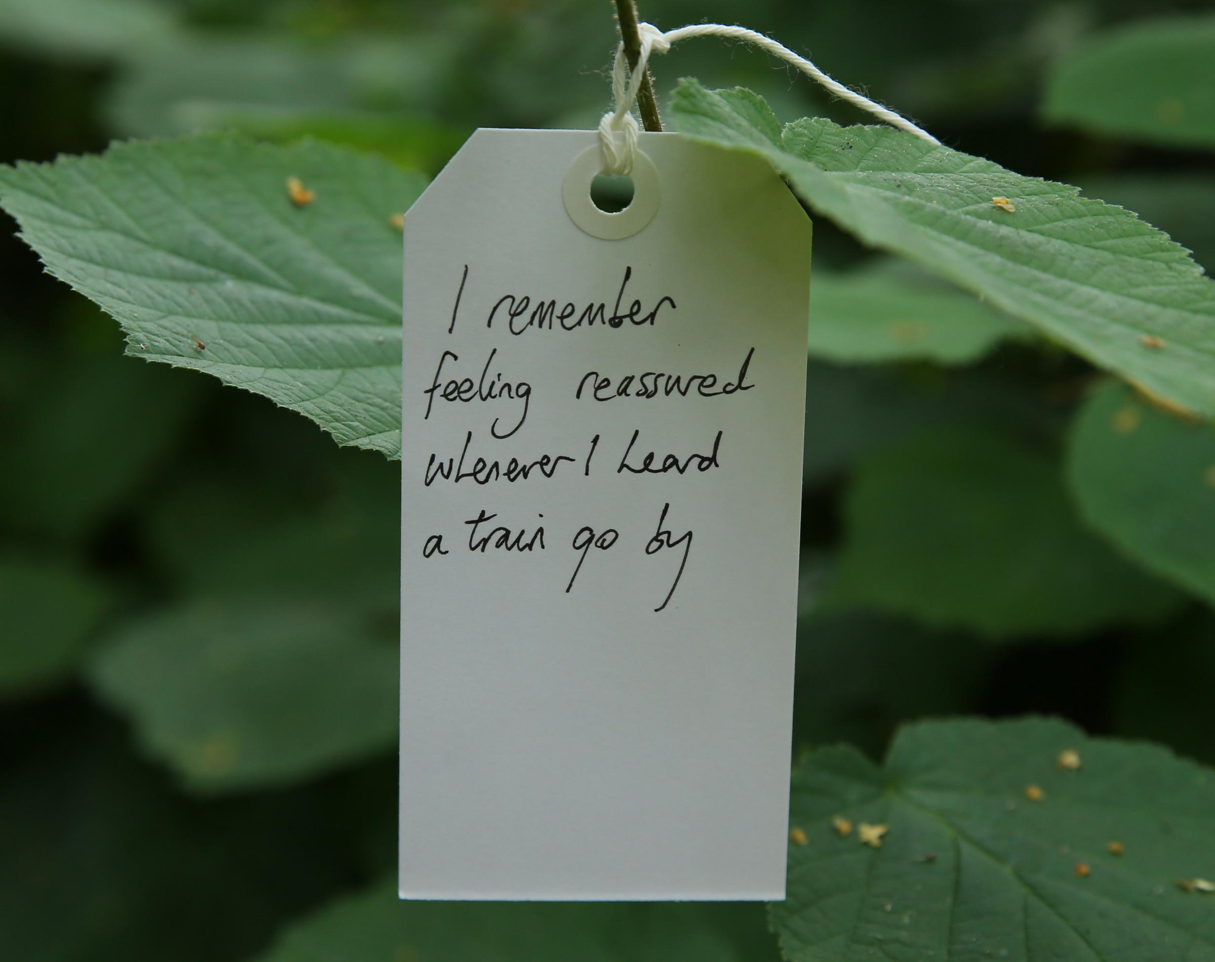 Herald covid memorial campaign, I Remember open day at the Hidden Gardens, Glasgow. Pictured are I Remember sentences tied to trees. Photograph by Colin Mearns.