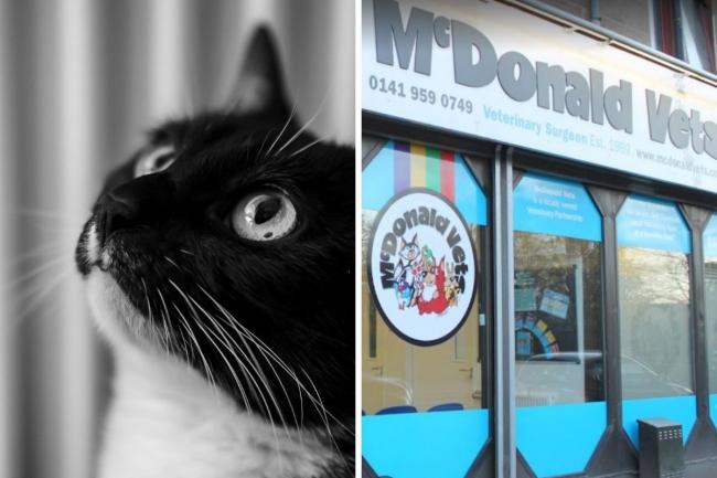 McDonald Vets on Queen Margaret Drive in Glasgow's west end is temporarily closed due to vet shortages.