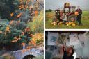 Autumn colours at Dawyck Botanic Garden, the McEwan family at Arnprior Farm, artist and printmaker Emma Jones at her Borders studio. Pictures: Discover Scottish Gardens/Julie Howden/Gordon Terris