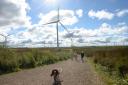 Renewables generate equivalent of 113% of Scotland’s electricity consumption