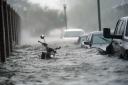 Cars and a motorcycle are underwater as water floods a street on Wednesday September 16, 2020, in Pensacola, Florida. 