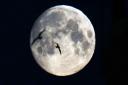 Witchcraft pays attention to the phases of the moon. Picture: Owen Humphreys/PA Wire