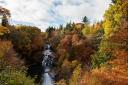 Falls of Clyde waterfall in autumn colours New Lanark, Lanarkshire, Scotland.