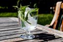Gin Tonic Cocktail with lime, mint leaves and ice