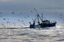 Scottish ministers plan to ban fishing from 10 per cent of waters