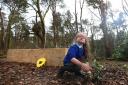 Jessica Machon, five, lays one of the first plants in the memorial garden