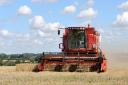 A combine harvester works in a wheat field. Photo Ian Nicholson/PA.