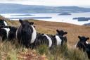 We should not ignore benefits of eating meat for both public health and rural Scotland