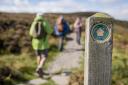 Walking and Cycling in Lanarkshire - 25 routes for all ages and abilities