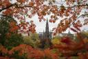 The Scott Monument on Princes Street, Edinburgh, is framed by trees displaying their autumn colours in October  2020. Pic Jane Barlow