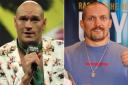 Oleksandr Usyk and Tyson Fury’s proposed unification bout has fallen through (PA)