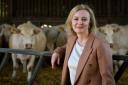 Liz Truss, during her visit to Twelve Oaks Farm in Newton Abbot, Devon, as part of her campaign to be leader of the Conservative Party and the next prime minister. Picture date: Monday August 1, 2022. PA Photo. See PA story POLITICS Tories. Photo credit