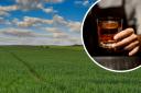 'Field to bottle' whisky distillery plan for Scottish farm