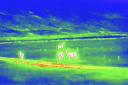 The company has launched thermal-imaging wildlife safaris
