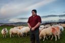 Livestock farmer David Henderson pictured with some of his sheep at his farm, Kilpatrick Farm near Blackwaterfoot, Arran

Images: Colin Mearns
