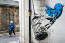 The new street art in Edinburgh