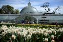 Glasgow City Council has paused its plan to introduce an entry fee at the Kibble Palace