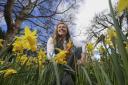 Kirsty Wilson, gardener at the Royal Botanic Gardens in Edinburgh, has piblished her book Planting With Nature. STY ALLAN/MAG..Pic Gordon Terris Herald & Times..16/3/23.