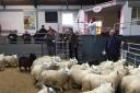 Farming: Lambs continue their upward trend at St Boswells