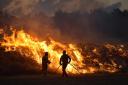 The summer's raging fires in Spain and elsewhere should be a wake-cup call to us all