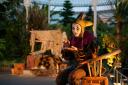 Nicole Cooper as The Fool in Bard in the Botanics production of Lear's Fool -  Photograph Tommy Ga-Ken Wan