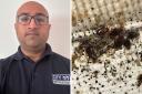 Yaser Rashid of City Pest Solutions in Glasgow has seen a 'jump' in bedbug cases