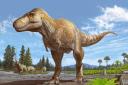 Scottish lineage: Tyrannosaurus mcraeensis