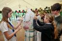 Pupils from Edinburgh's Firrhill High School were crowned winners