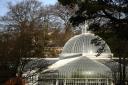 Glasgow Botanic Gardens (Photo by Jamie Simpson/Herald & Times)