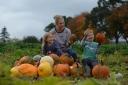 The McEwen family of Arnprior Farm in Stirlingshire which offers pick your own pumpkin