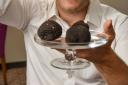 Expensive Mediterranean black truffle cultivated in the UK for the first time