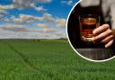 'Field to bottle' whisky distillery plan for Scottish farm