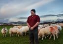 Livestock farmer David Henderson pictured with some of his sheep at his farm, Kilpatrick Farm near Blackwaterfoot, Arran

Images: Colin Mearns