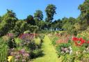 A stunning herbaceous border at Hergest Croft Gardens
