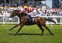 The Tenner Bet: James Morgan's top pick for Dewhurst Stakes at Newmarket