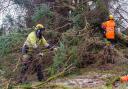 Engineers are busy clearing downed trees