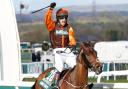 Noble Yeats wins Radox Grand National as Waley-Cohen bows out from saddle in perfect fashion